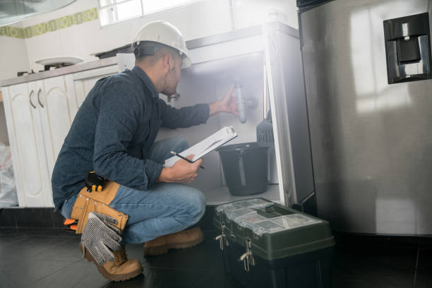 Best Water Softener Installation  in Elgin, MN