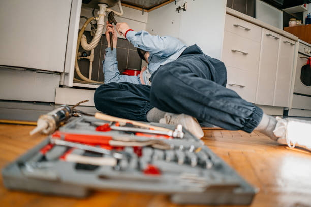 Sprinkler Systems in Elgin, MN