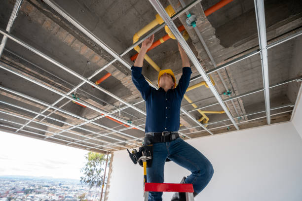 Best Plumbing Repair Near Me  in Elgin, MN